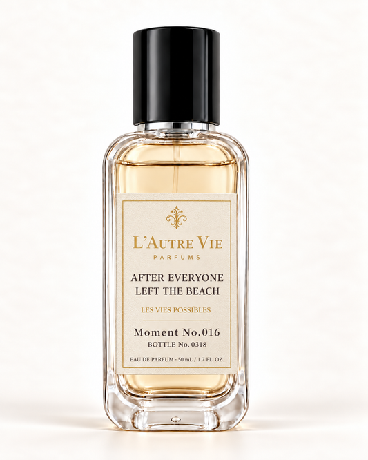 After Everyone Left the Beach — Les Vies Possibles Moment No.016