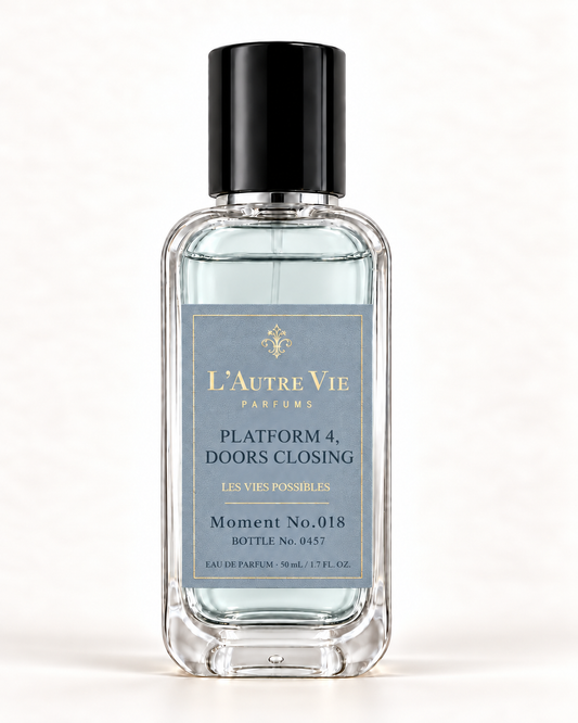 Platform 4 Doors Closing